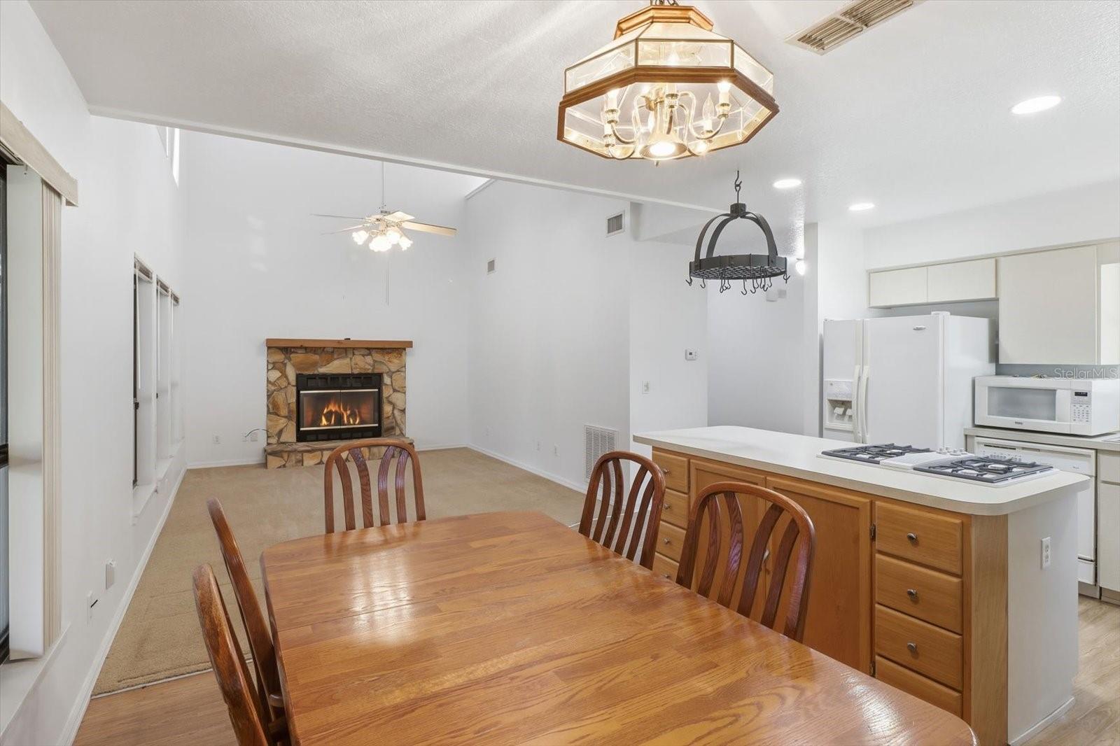 3156 N HOOTY POINT, Inverness, FL 34453