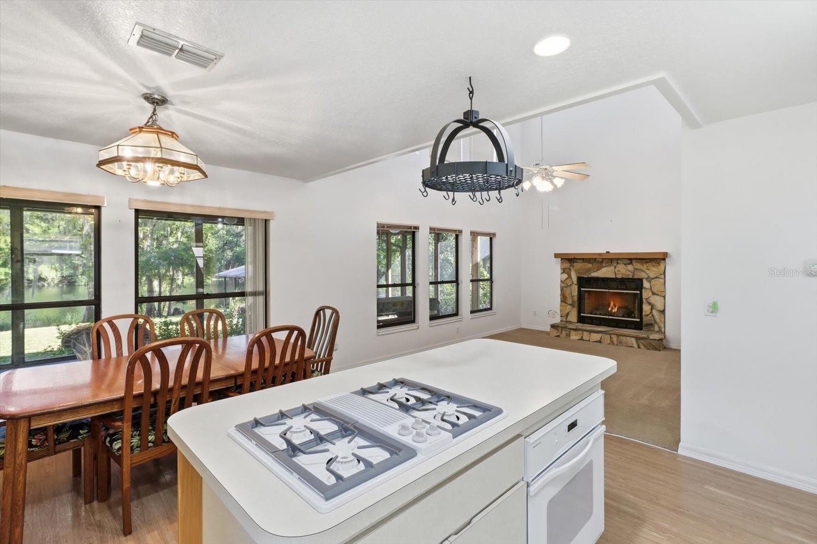3156 N HOOTY POINT, Inverness, FL 34453