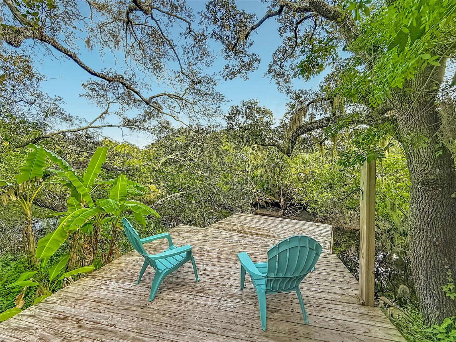 12805 TWIN BRANCH ACRES RD, Tampa, FL 33626 12805 TWIN BRANCH ACRES RD, Tampa, FL 33626