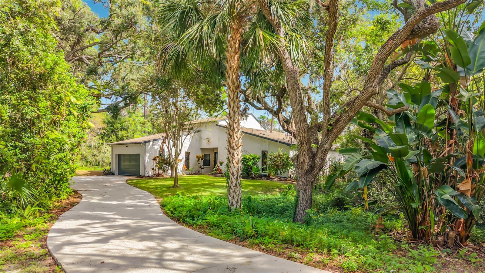 12805 TWIN BRANCH ACRES RD, Tampa, FL 33626