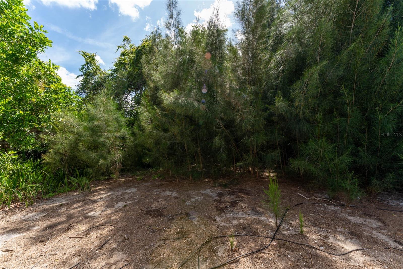 1775 FAUN ROAD, Venice, FL 34293