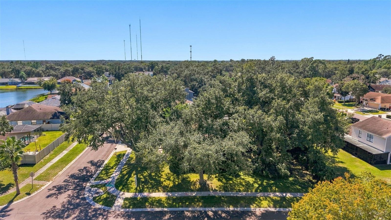 4301 ELLENVILLE PLACE, Valrico, FL 33596