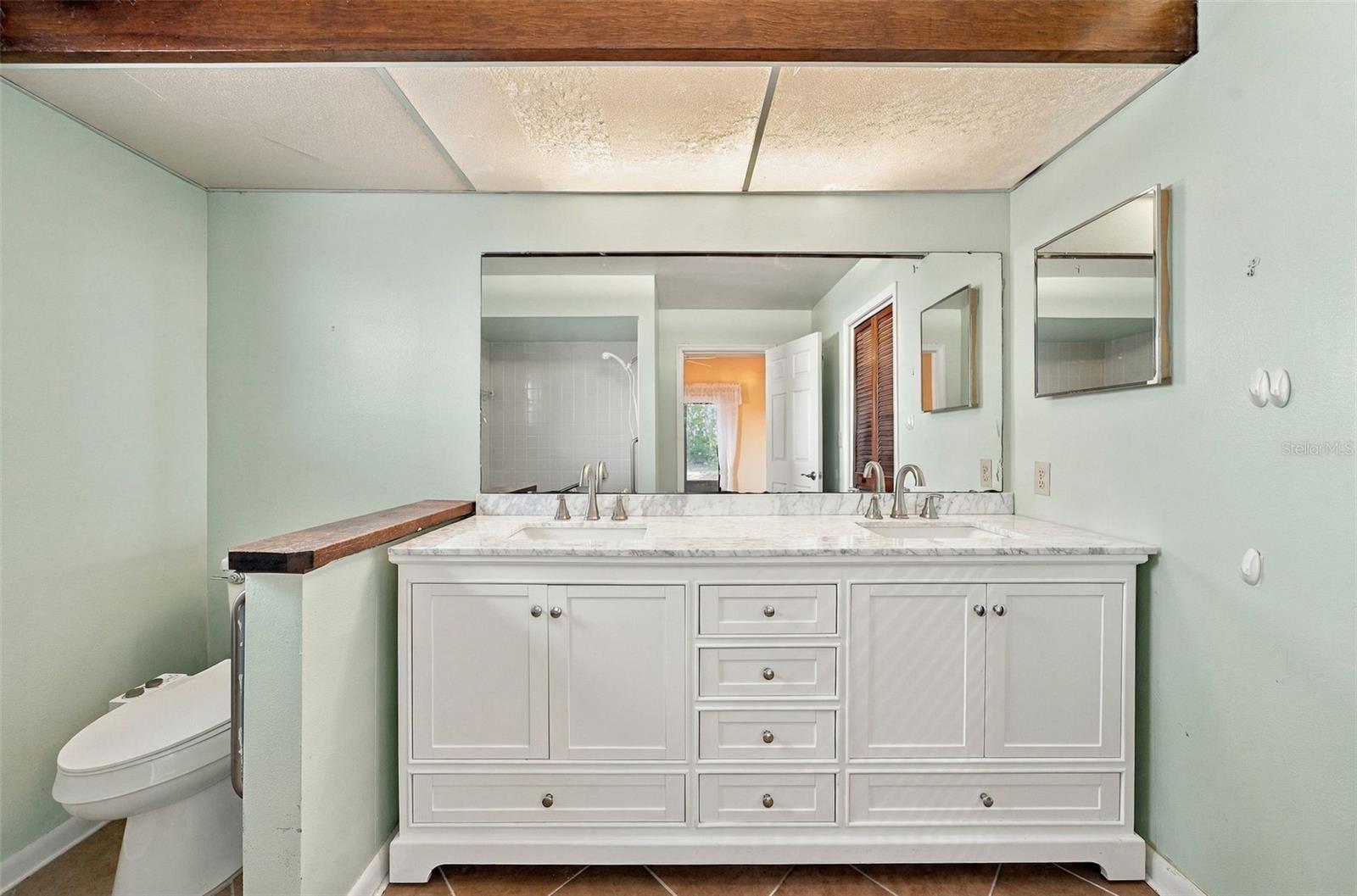 4301 ELLENVILLE PLACE, Valrico, FL 33596