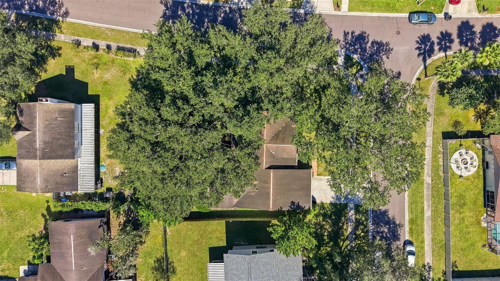 4301 ELLENVILLE PLACE, Valrico, FL 33596