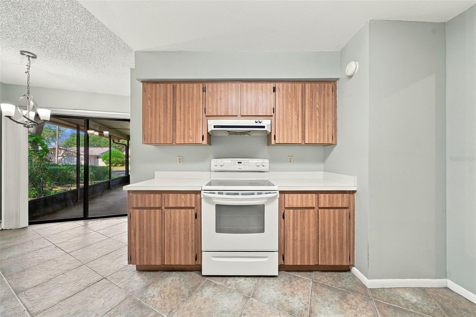 4301 ELLENVILLE PLACE, Valrico, FL 33596