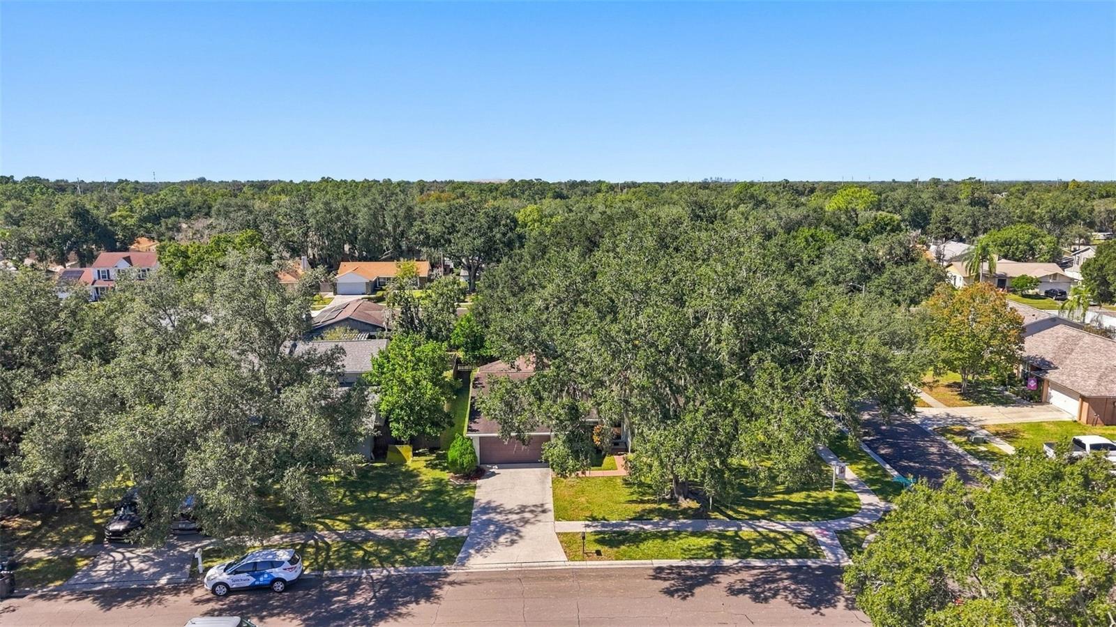 4301 ELLENVILLE PLACE, Valrico, FL 33596