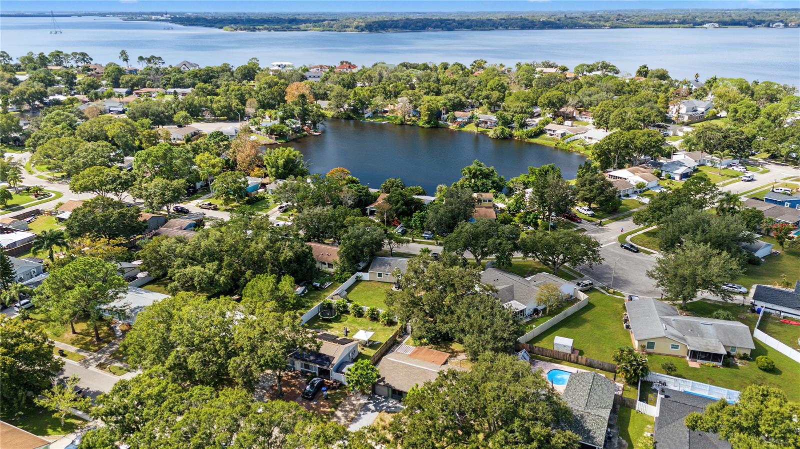608 TIMBER BAY CIRCLE E, Oldsmar, FL 34677