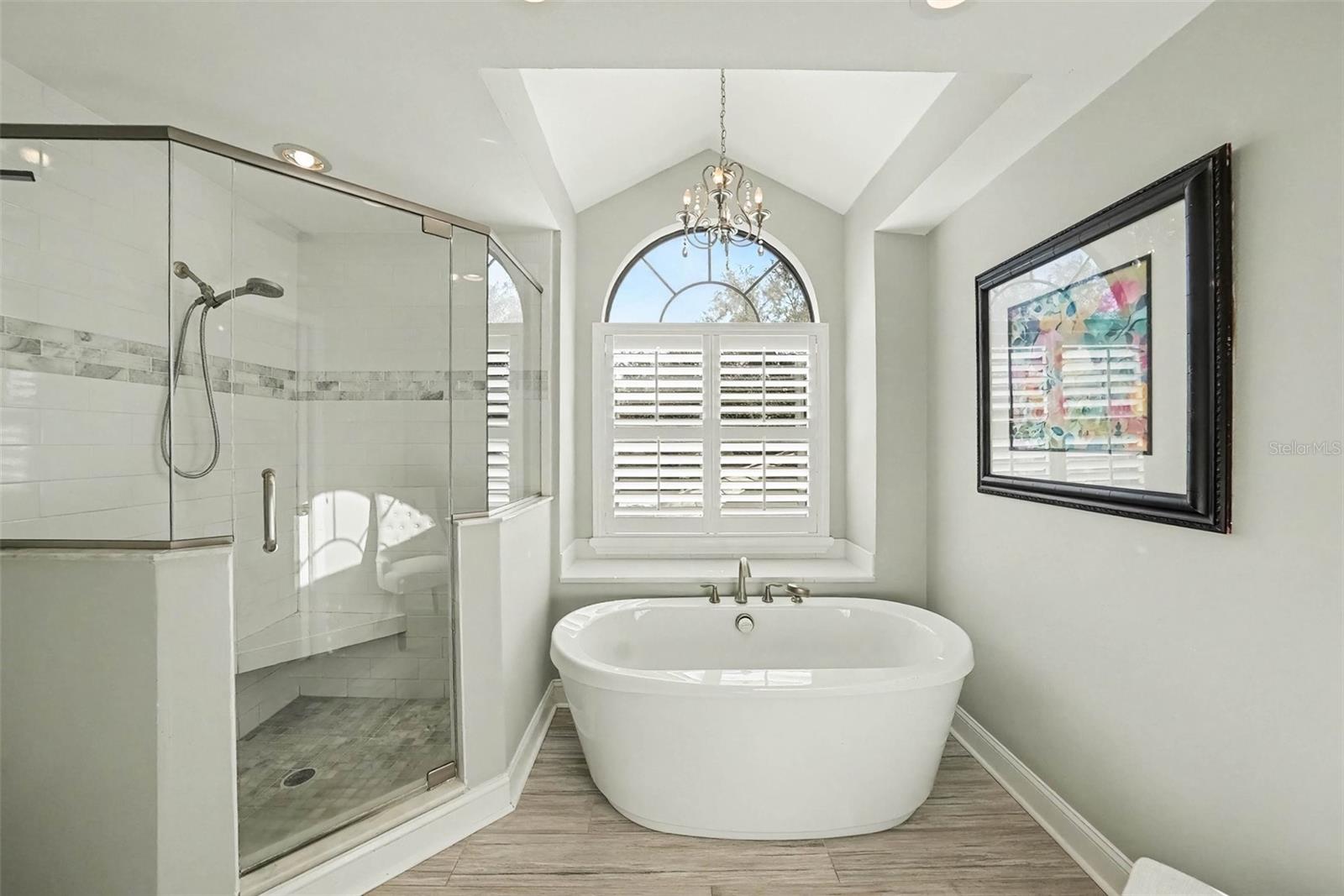 separate shower & tub