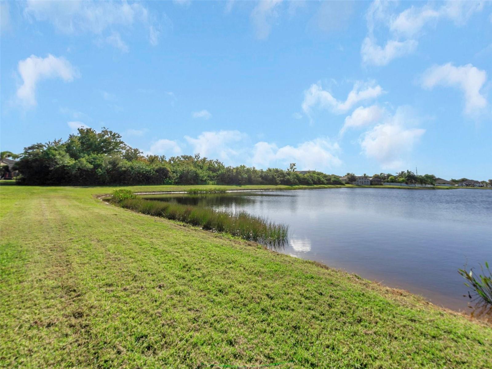 13908 FELIX WILL ROAD, Riverview, FL 33579