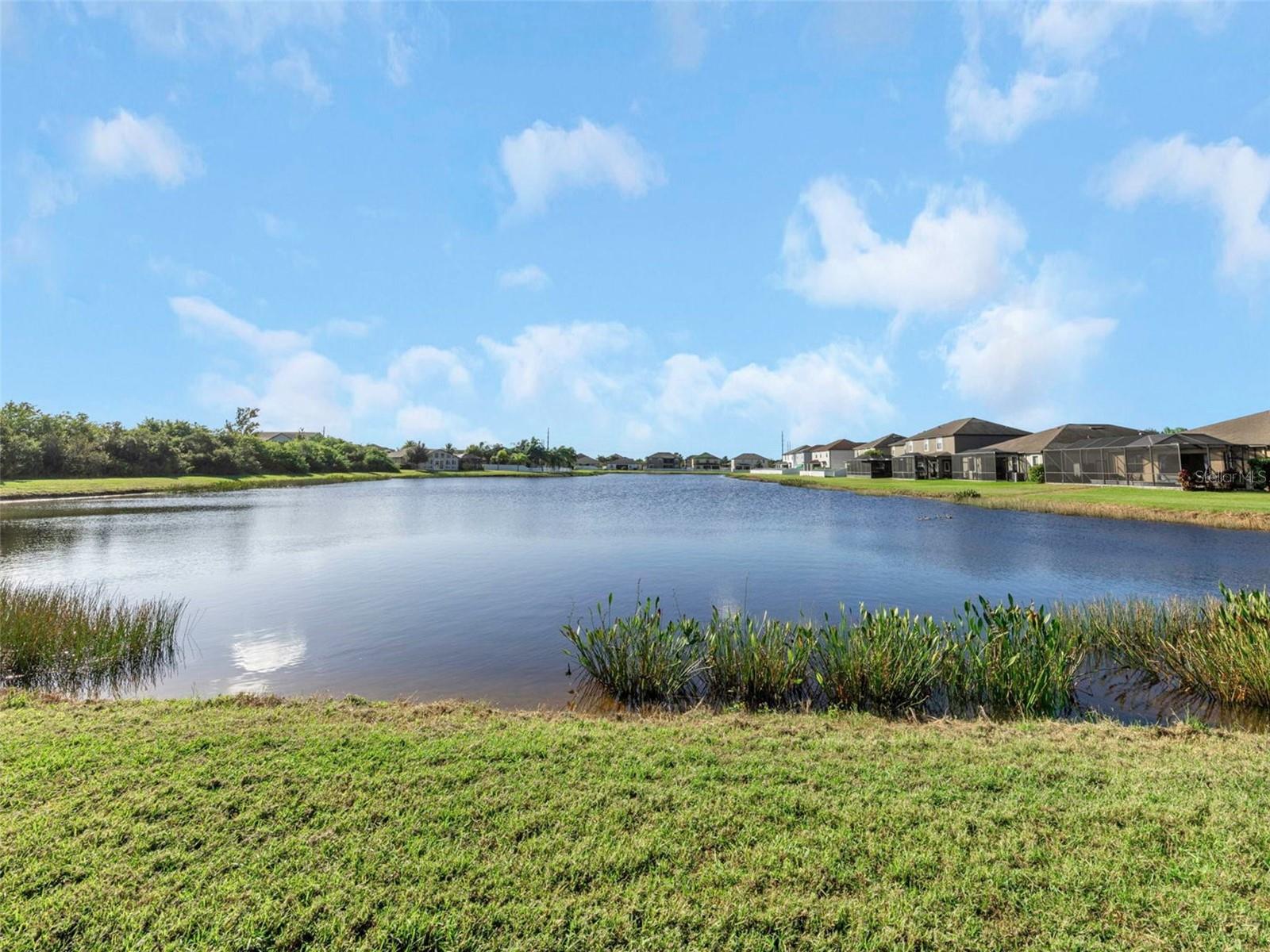 13908 FELIX WILL ROAD, Riverview, FL 33579 13908 FELIX WILL ROAD, Riverview, FL 33579