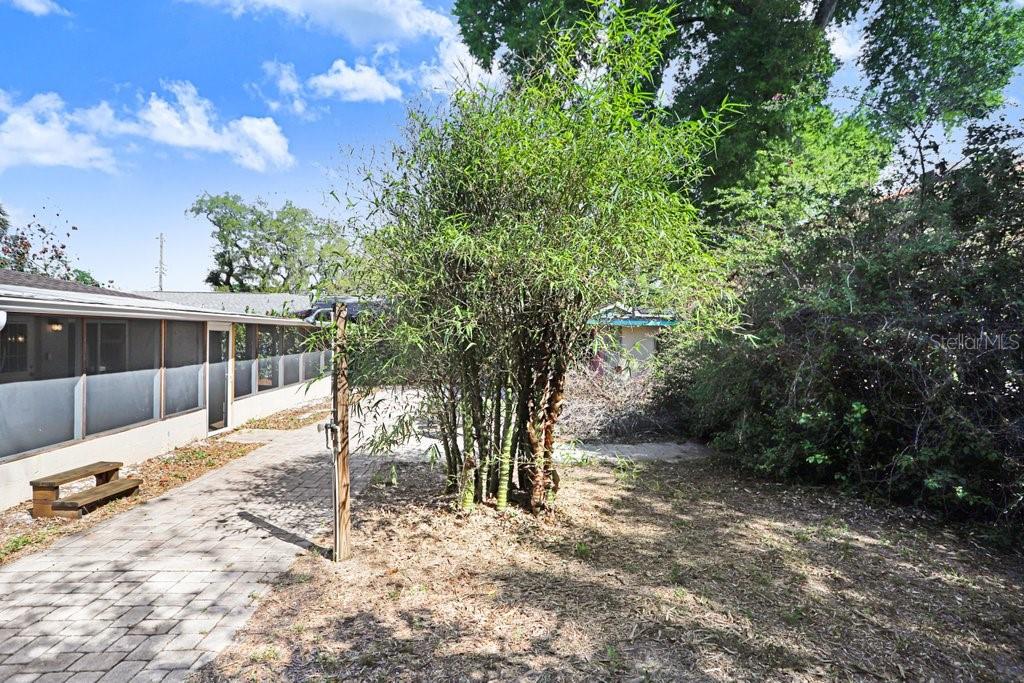 6703 N RIVER BOULEVARD, Tampa, FL 33604