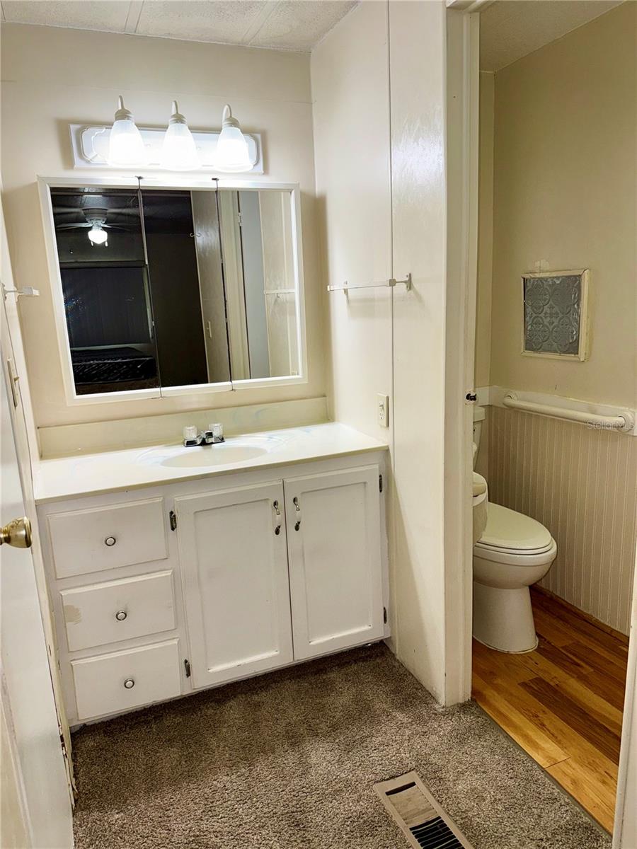Primary Bathroom Vanity