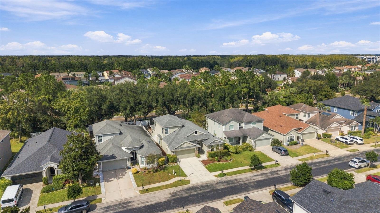 4319 RUSTIC PINE PLACE, Wesley Chapel, FL 33544