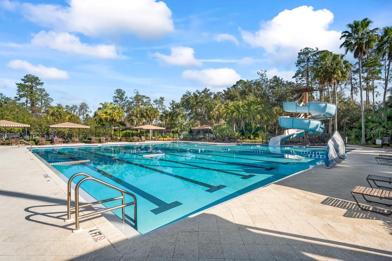 Lap Pool with Slide