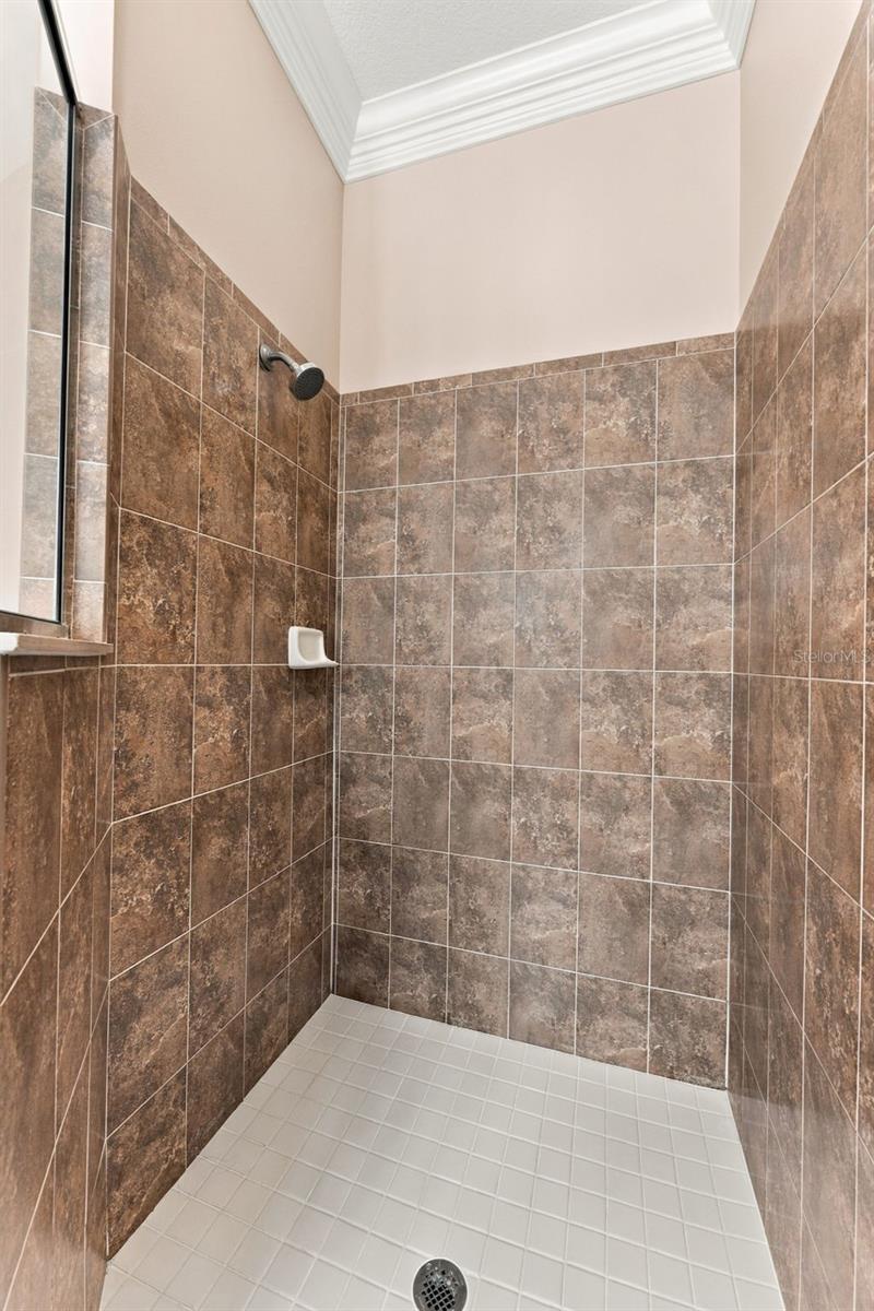 4319 RUSTIC PINE PLACE, Wesley Chapel, FL 33544