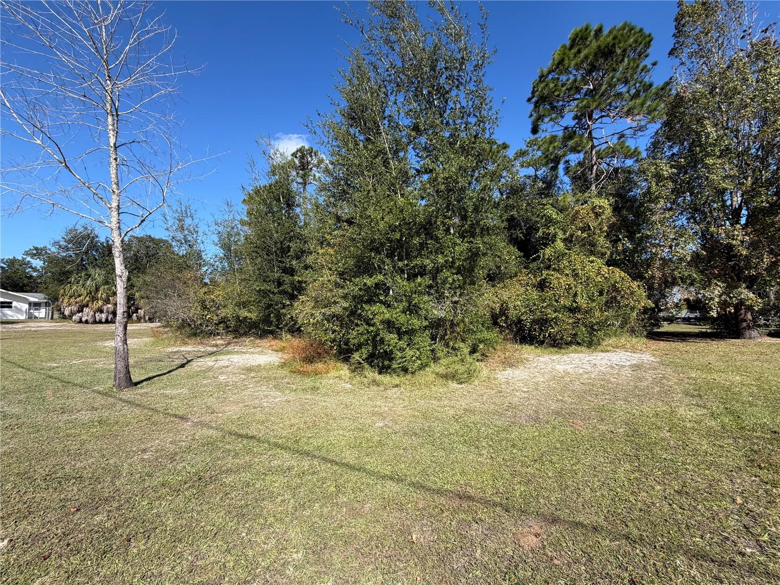 8181 BARRY COURT, Homosassa, FL 34446 8181 BARRY COURT, Homosassa, FL 34446