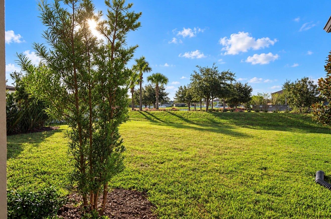 13134 FOXTAIL FERN DRIVE, Riverview, FL 33579