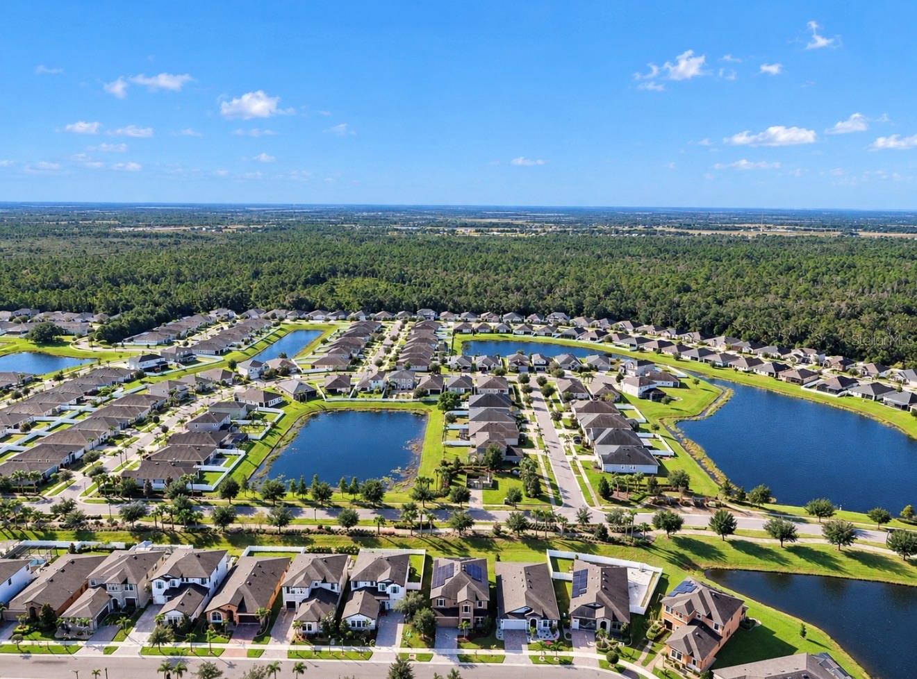 13134 FOXTAIL FERN DRIVE, Riverview, FL 33579