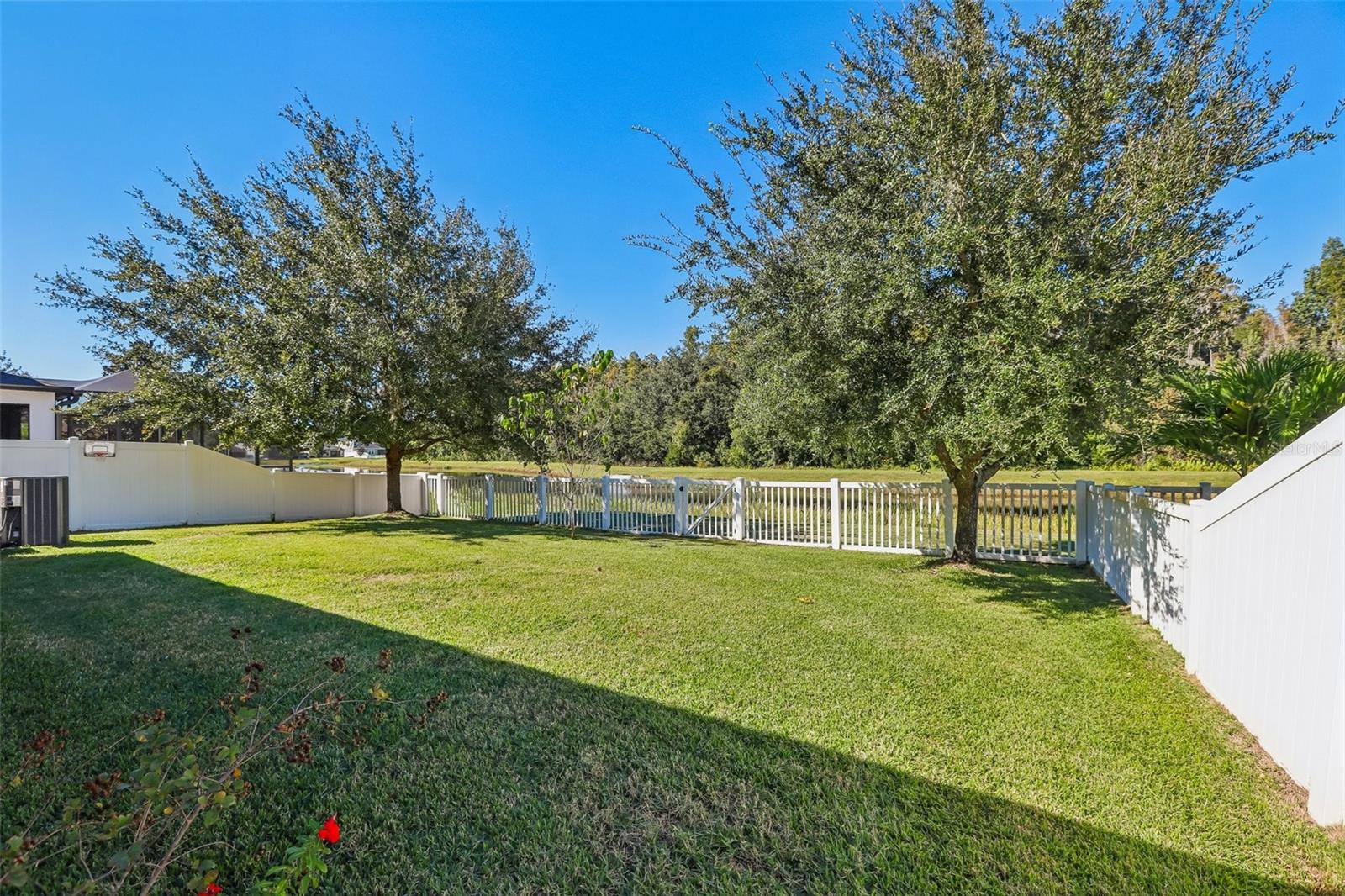 19430 PADDOCK VIEW DRIVE, Tampa, FL 33647