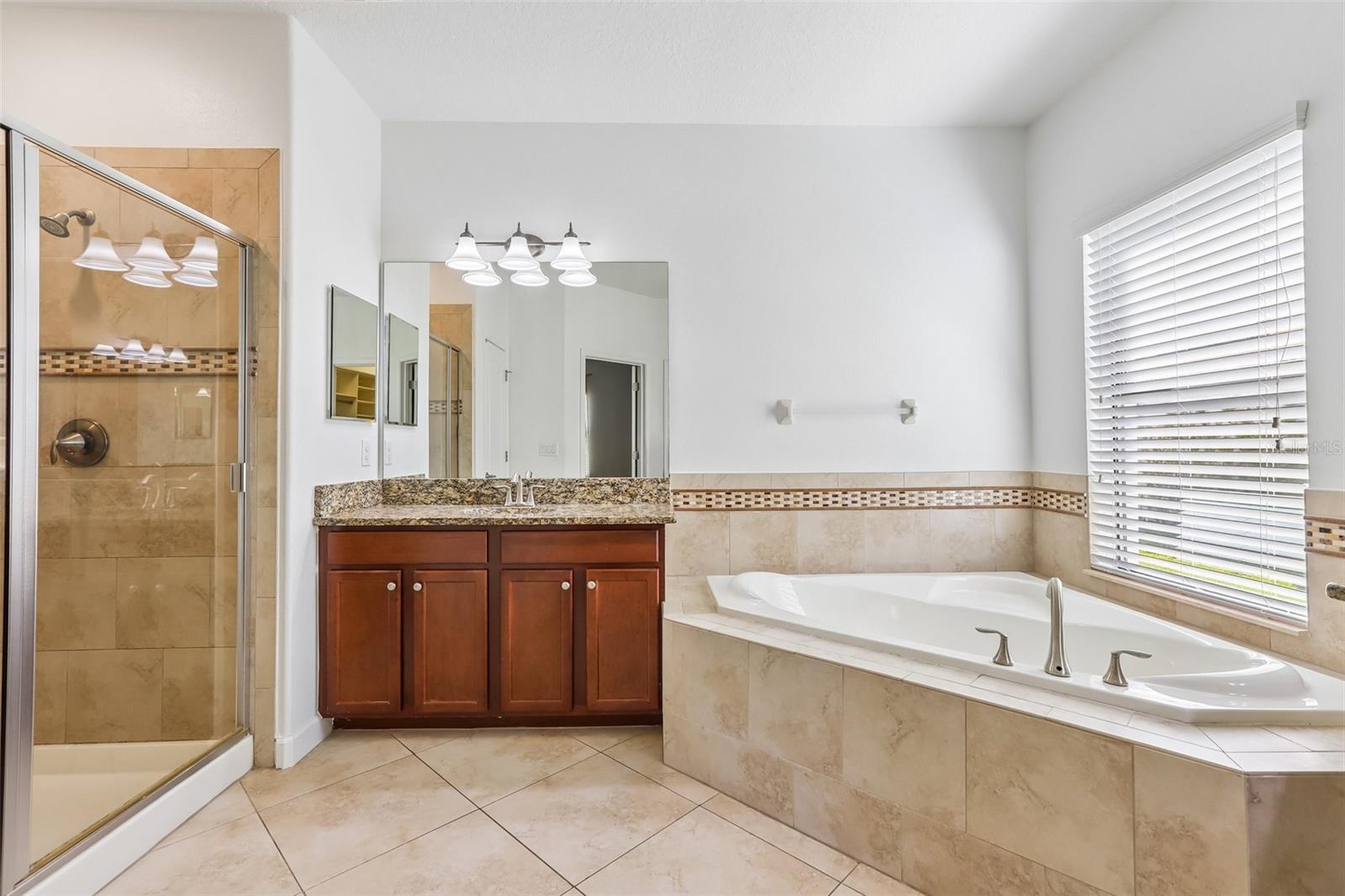 19430 PADDOCK VIEW DRIVE, Tampa, FL 33647