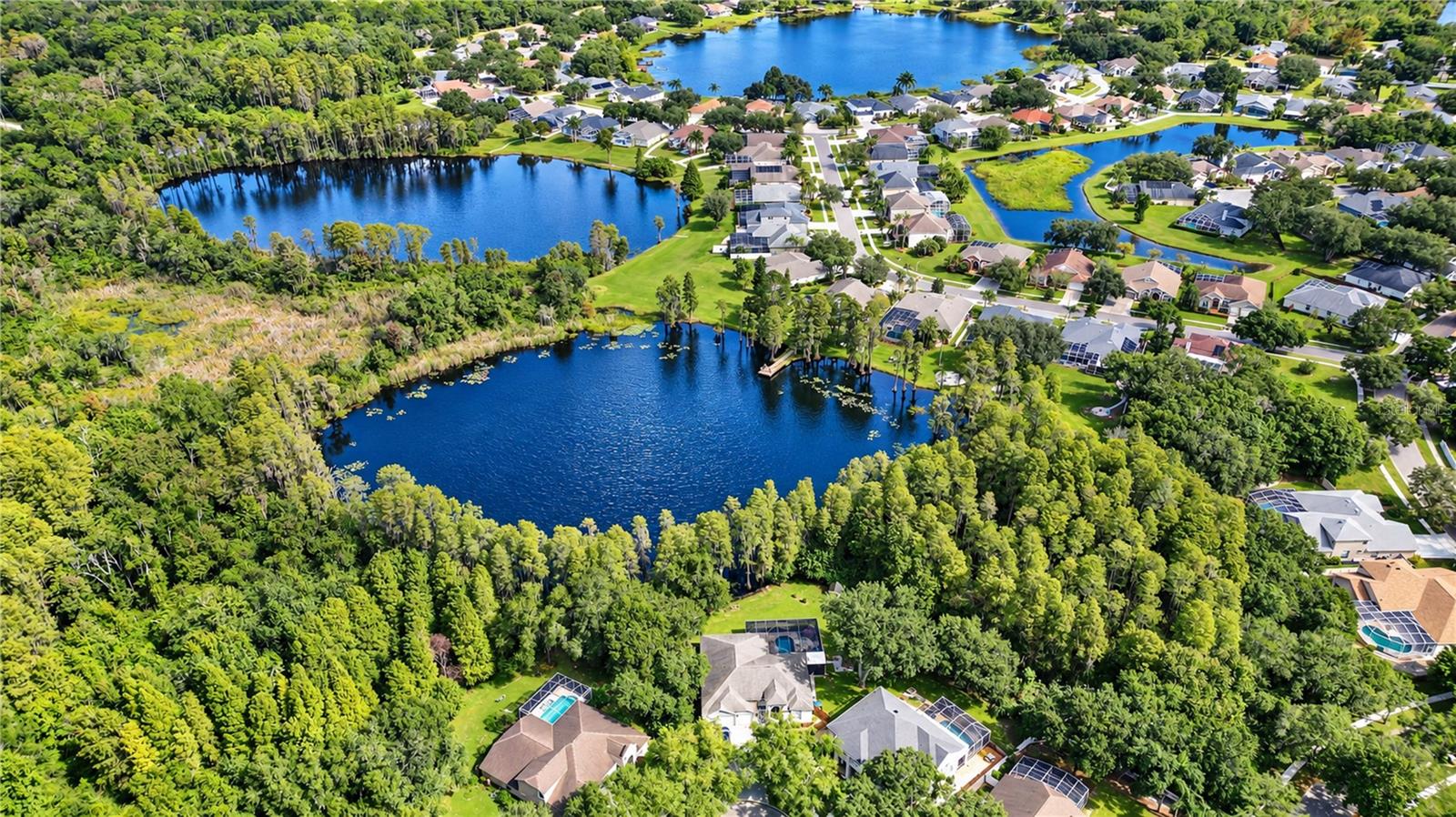 15306 HIDDEN ARBOR COURT, Odessa, FL 33556
