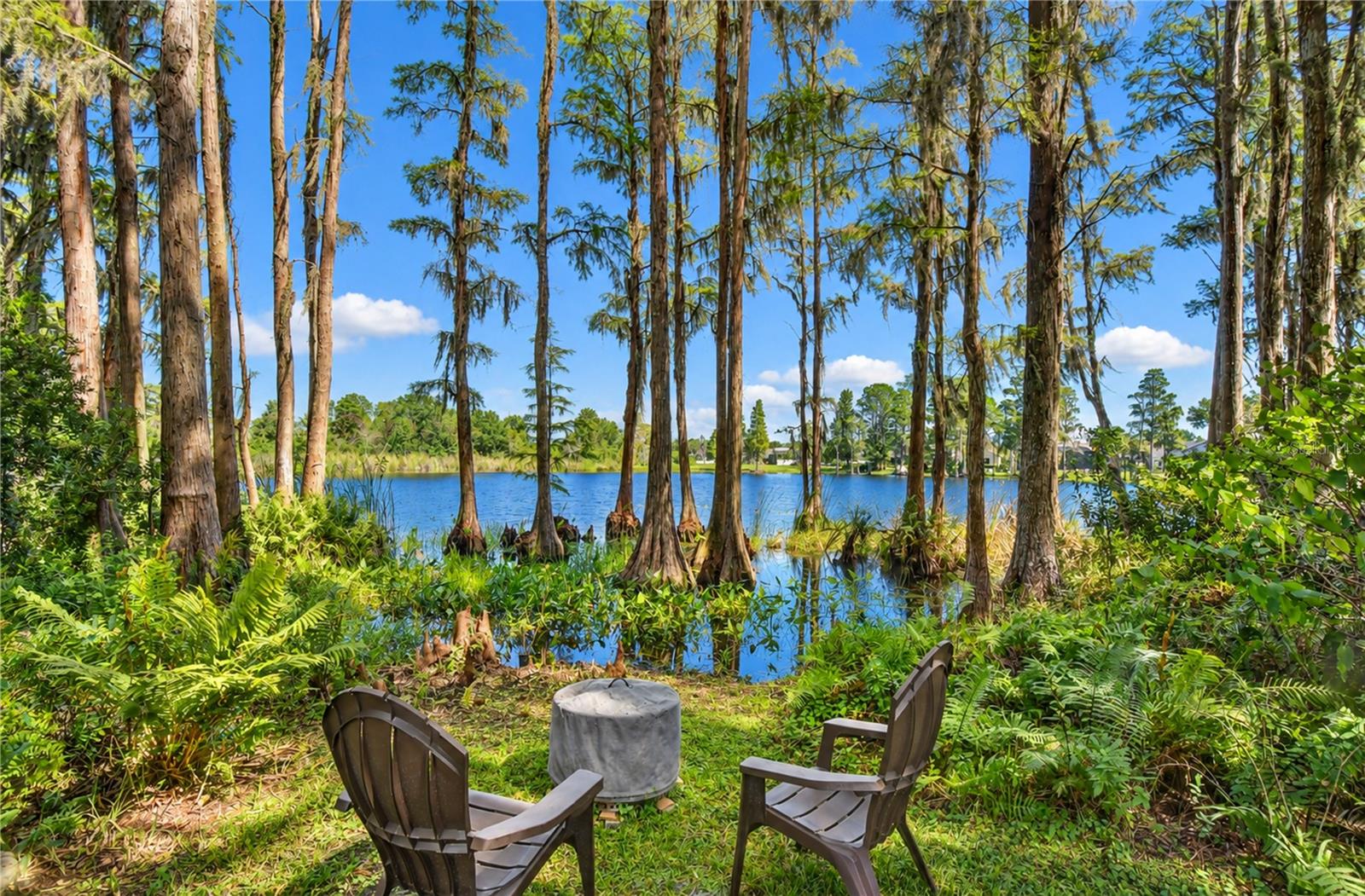 15306 HIDDEN ARBOR COURT, Odessa, FL 33556