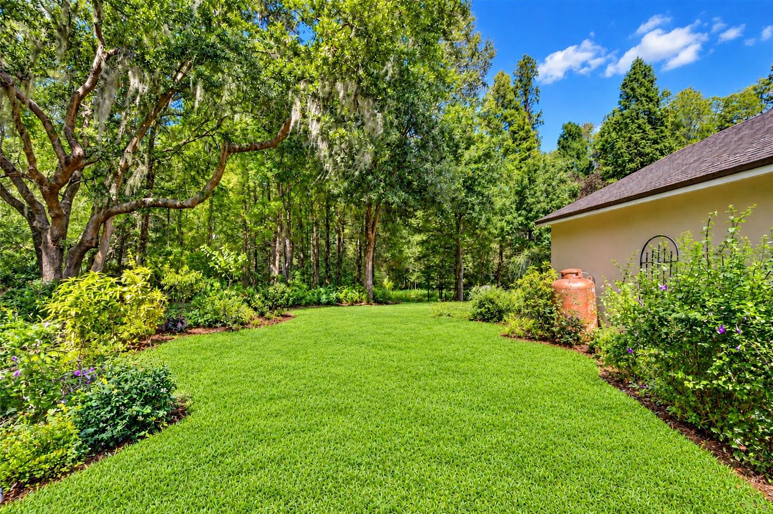 15306 HIDDEN ARBOR COURT, Odessa, FL 33556