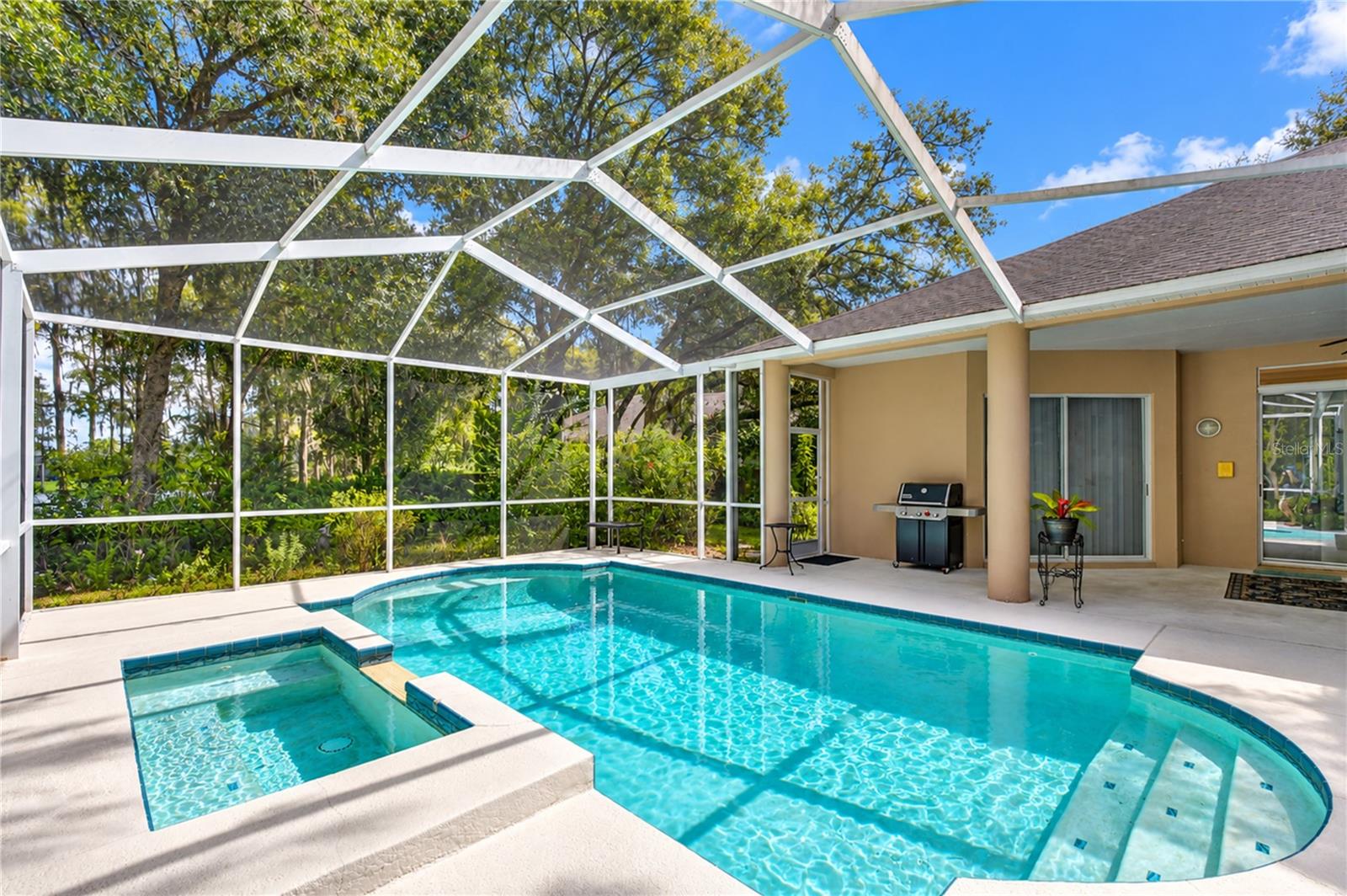 15306 HIDDEN ARBOR COURT, Odessa, FL 33556
