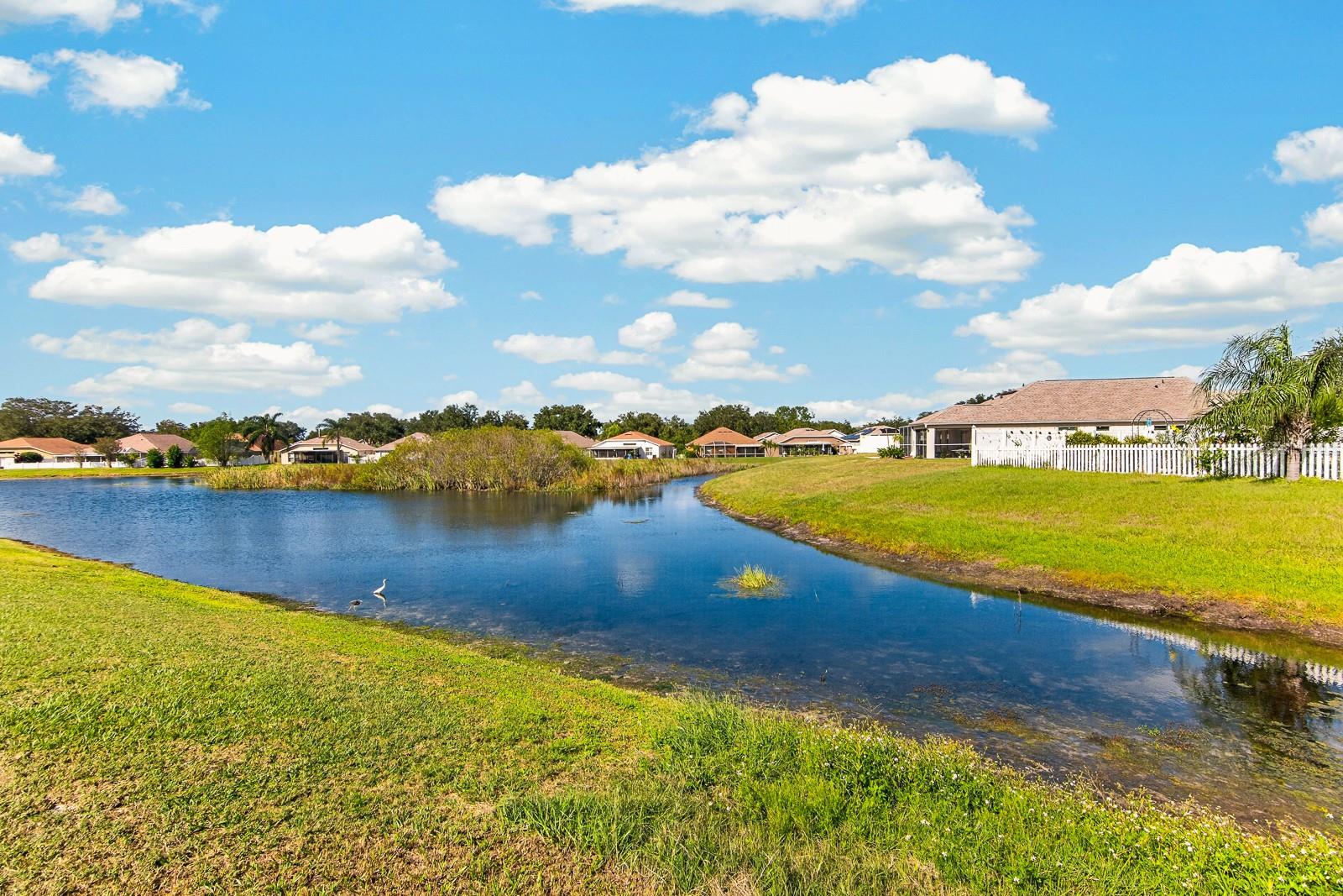 12505 HERONS PATH PLACE, Riverview, FL 33578