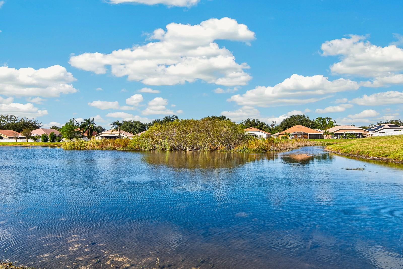 12505 HERONS PATH PLACE, Riverview, FL 33578