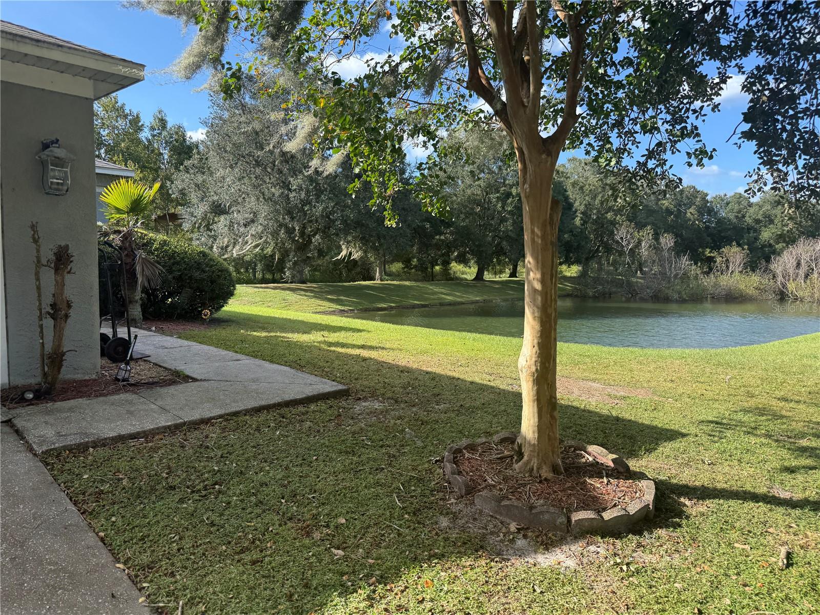 1534 MARSH WOOD DRIVE, Seffner, FL 33584