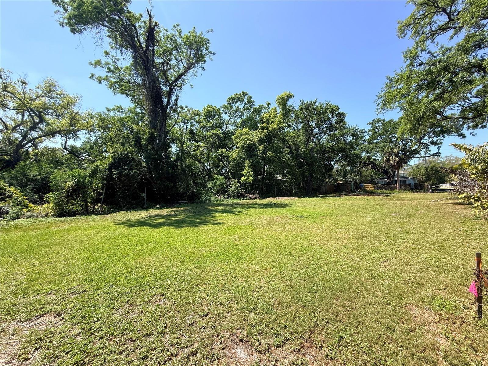 429 ST LOUIS AVENUE, Palm Harbor, FL 34683