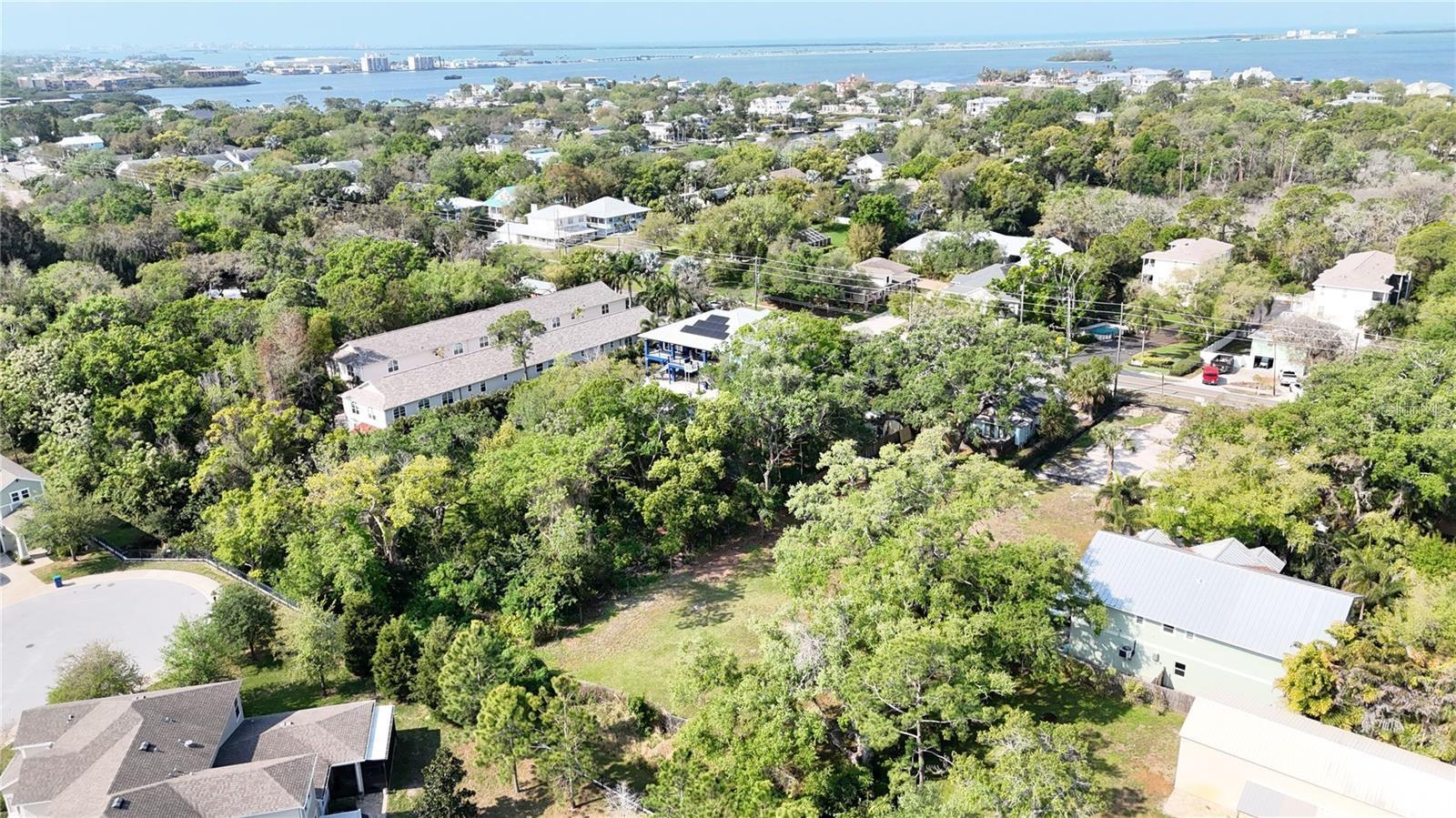 429 ST LOUIS AVENUE, Palm Harbor, FL 34683