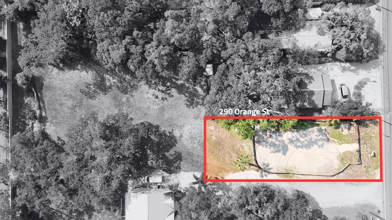 290 ORANGE STREET, Palm Harbor, FL 34683