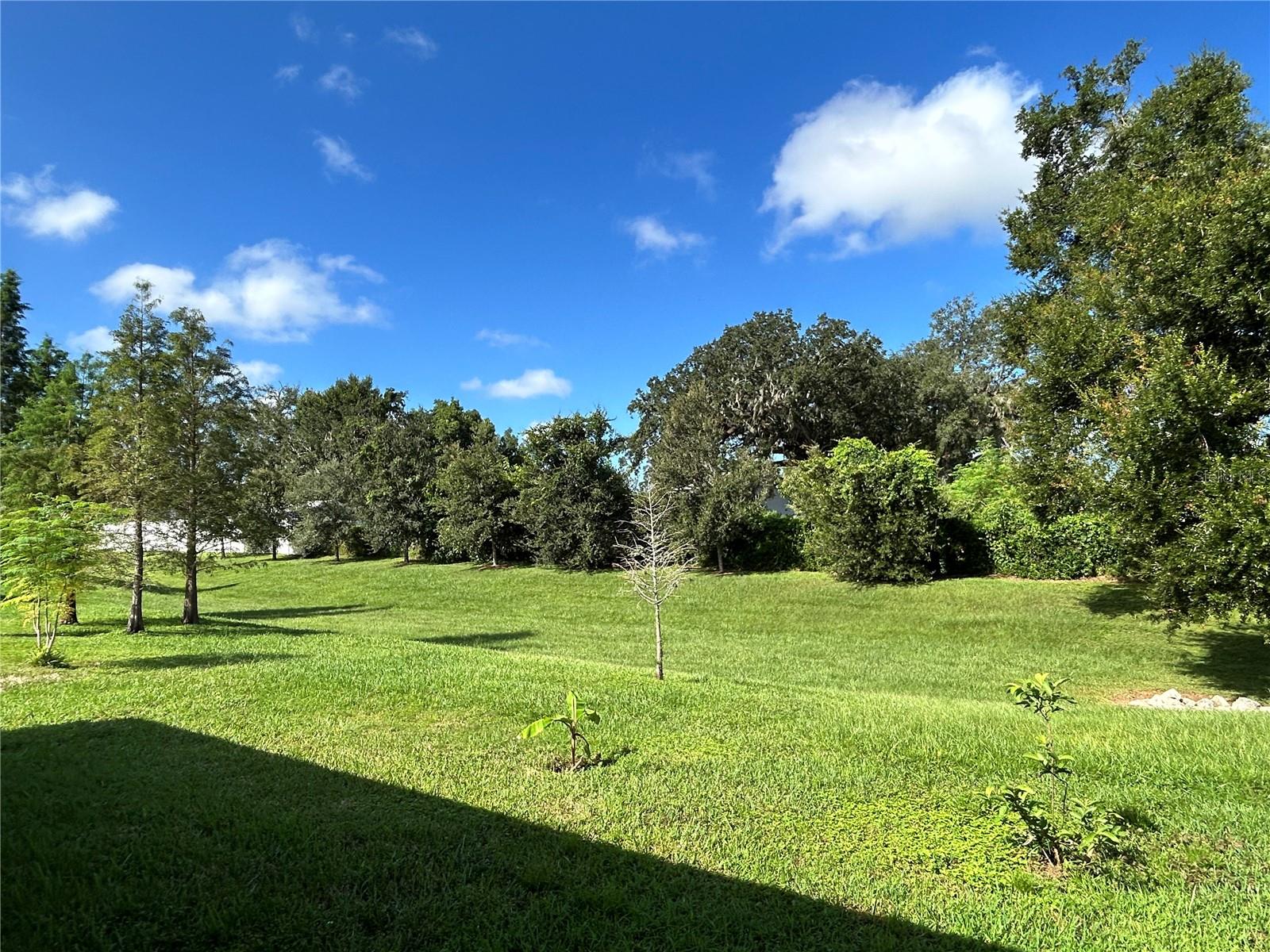 520 VALRI PARK DRIVE, Valrico, FL 33594