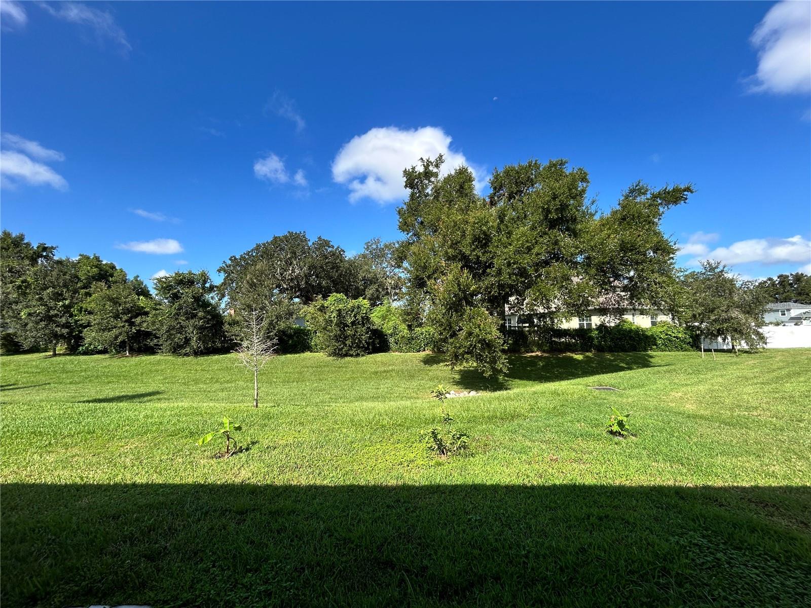 520 VALRI PARK DRIVE, Valrico, FL 33594