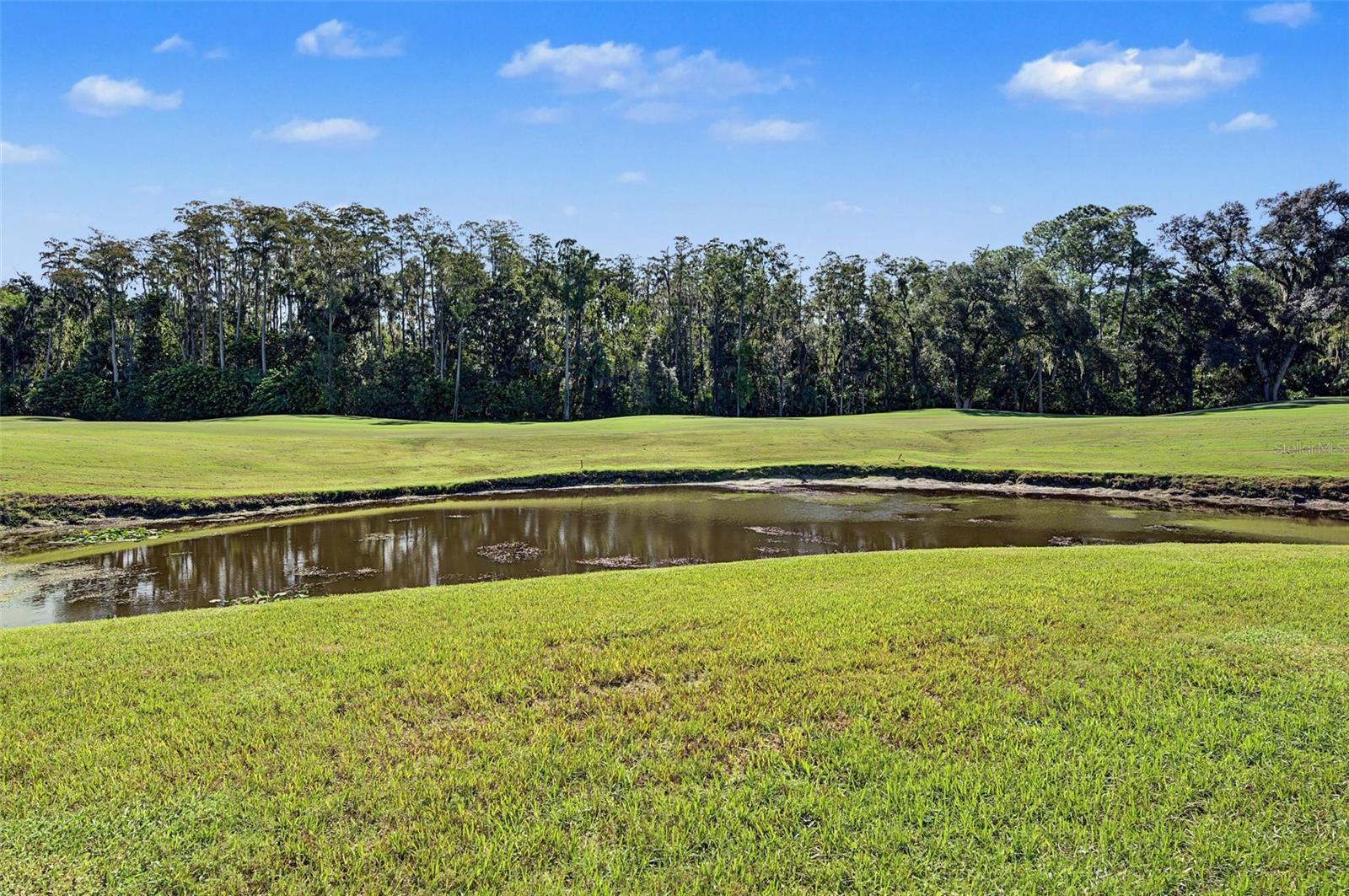 5124 PINNACLE DRIVE, Oldsmar, FL 34677