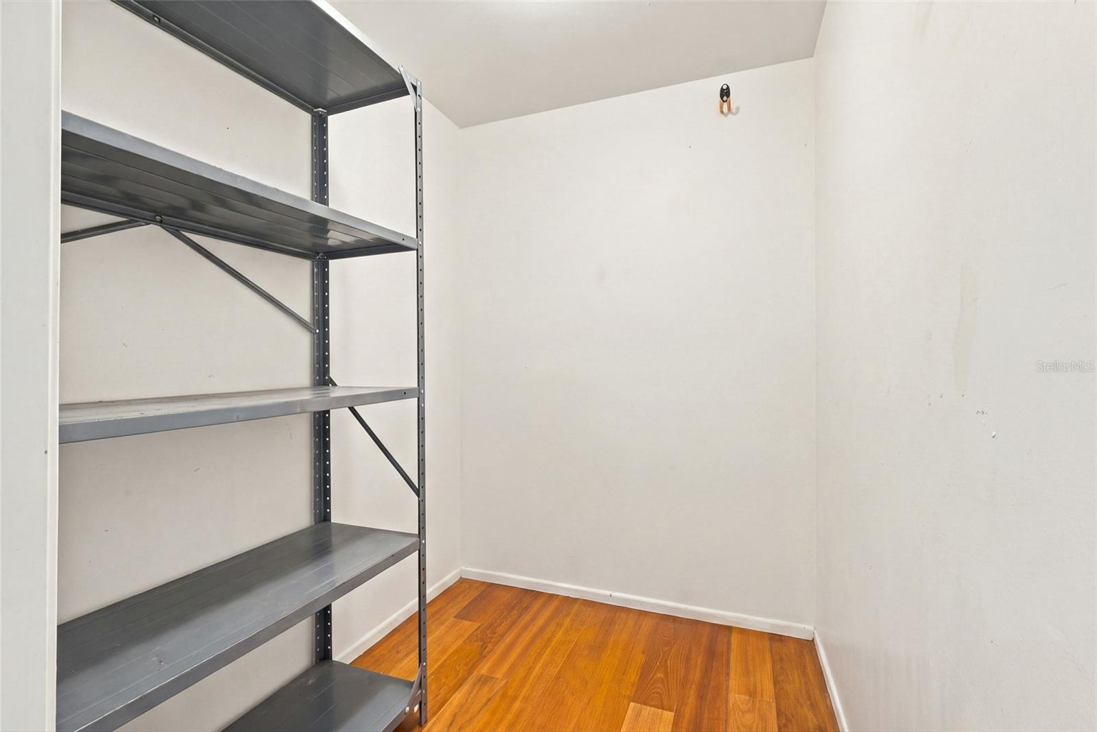 Large walk in storage closet in hallway