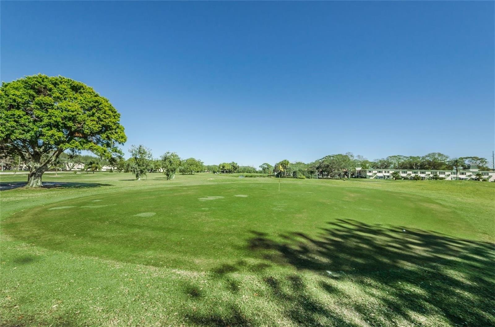 2228 SWEDISH DRIVE, #22, Clearwater, FL 33763