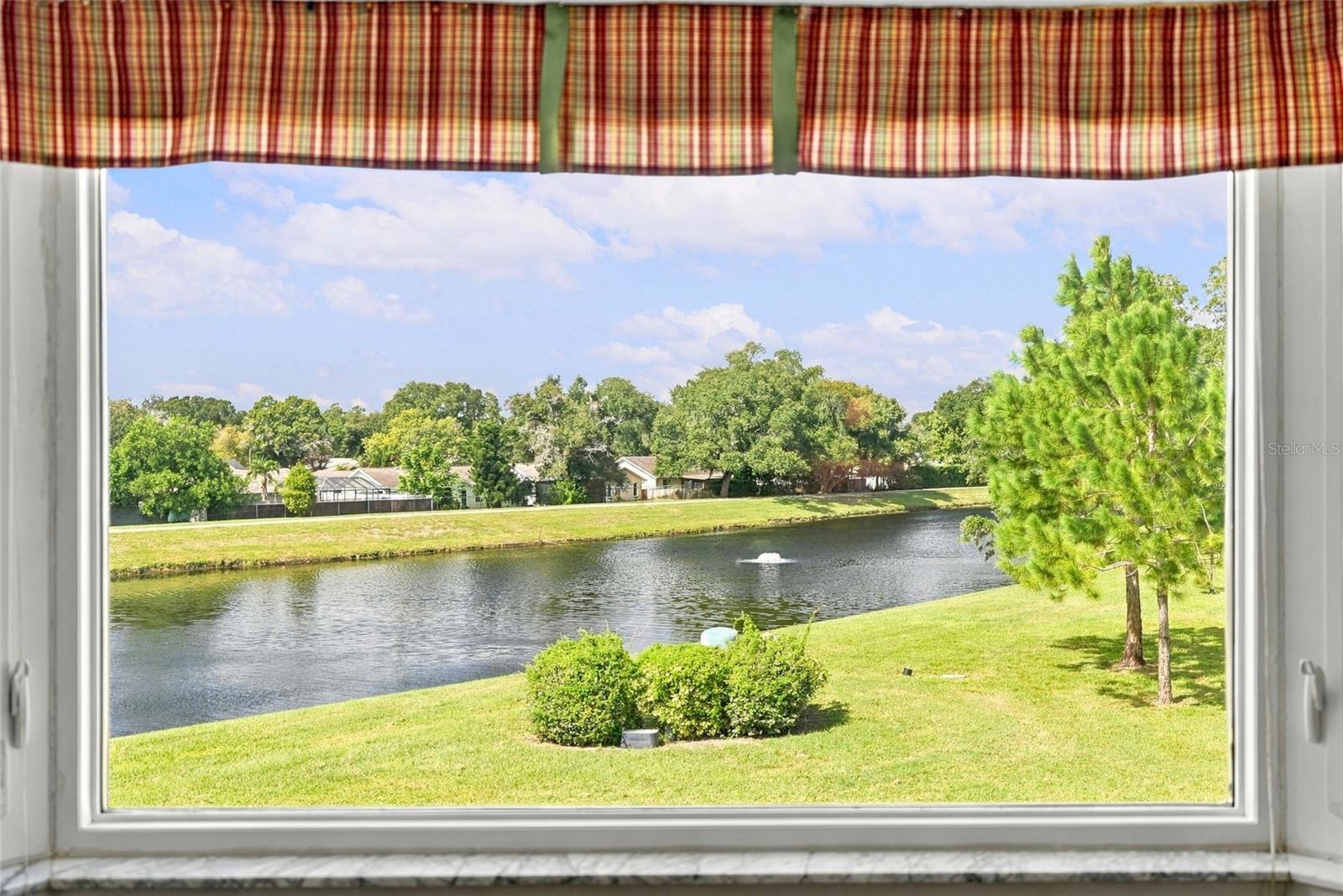 Peaceful & relaxing view out the kitchen window