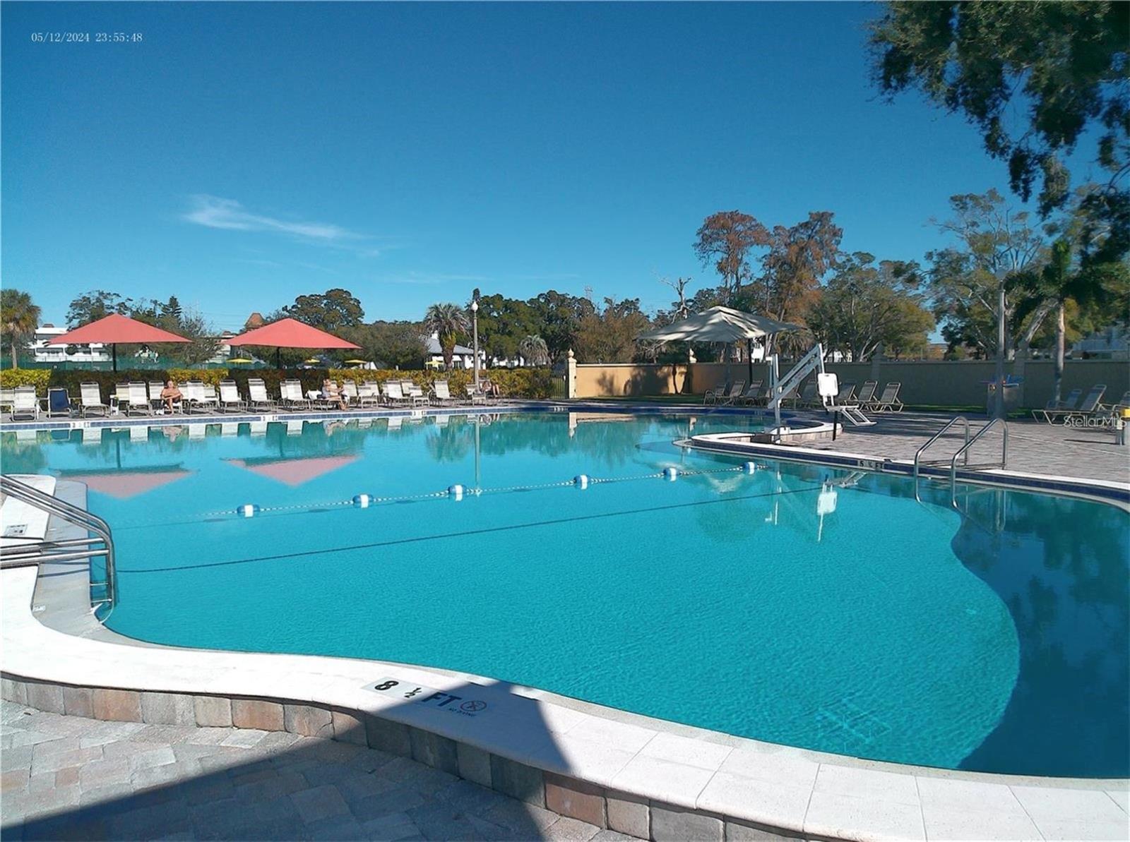 2228 SWEDISH DRIVE, #22, Clearwater, FL 33763