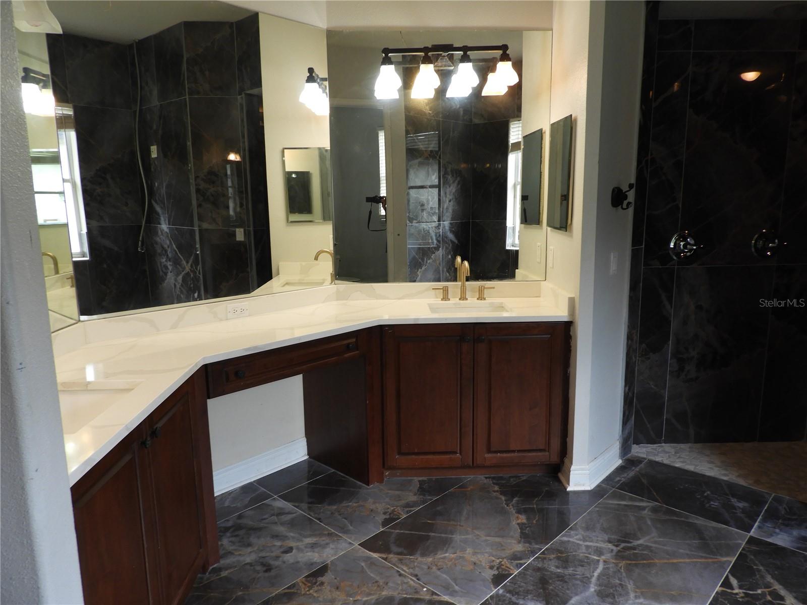 19820 WELLINGTON MANOR BOULEVARD, Lutz, FL 33549