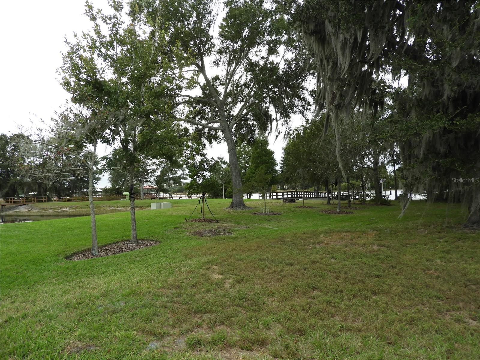 19820 WELLINGTON MANOR BOULEVARD, Lutz, FL 33549