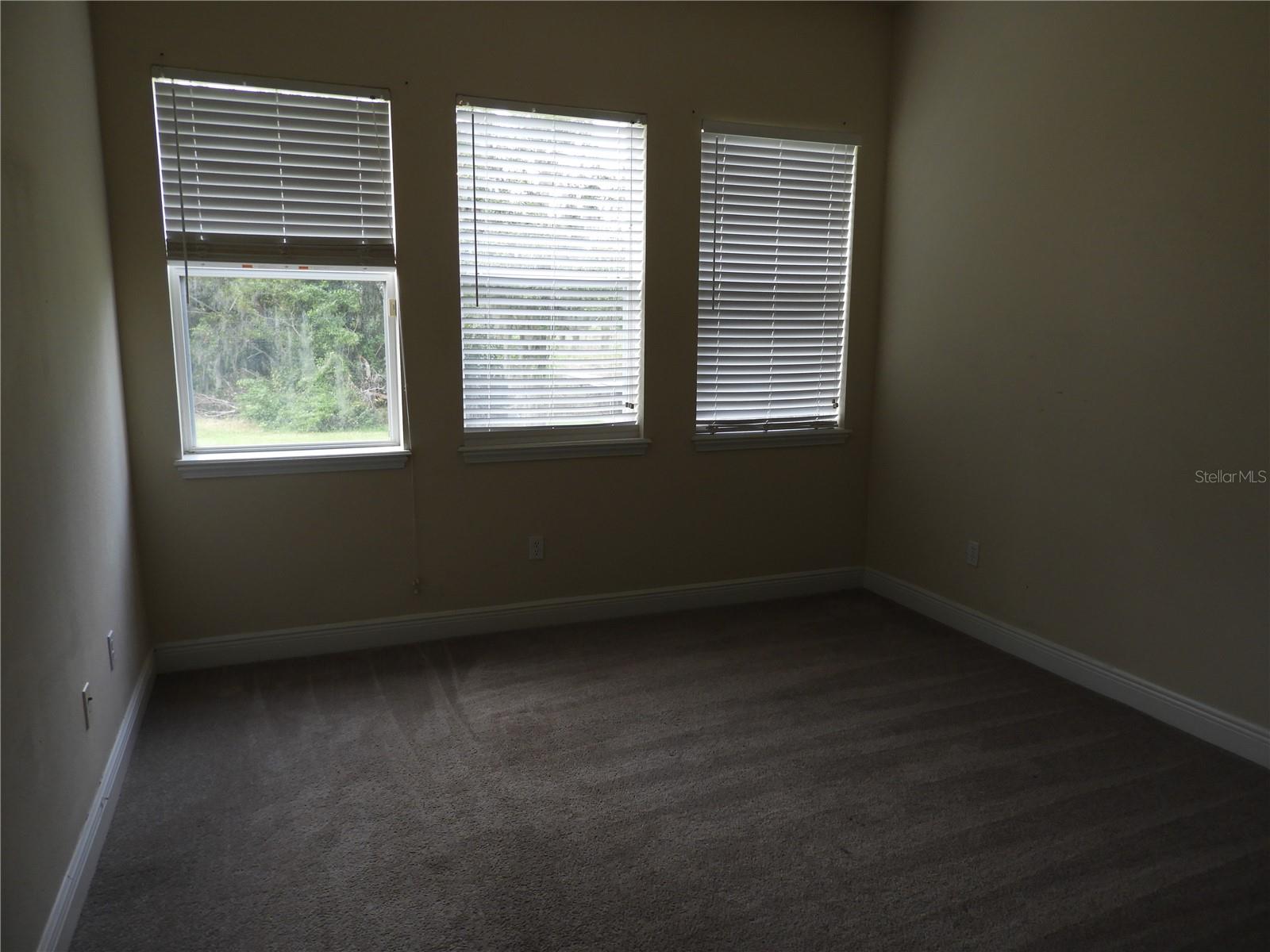 19820 WELLINGTON MANOR BOULEVARD, Lutz, FL 33549