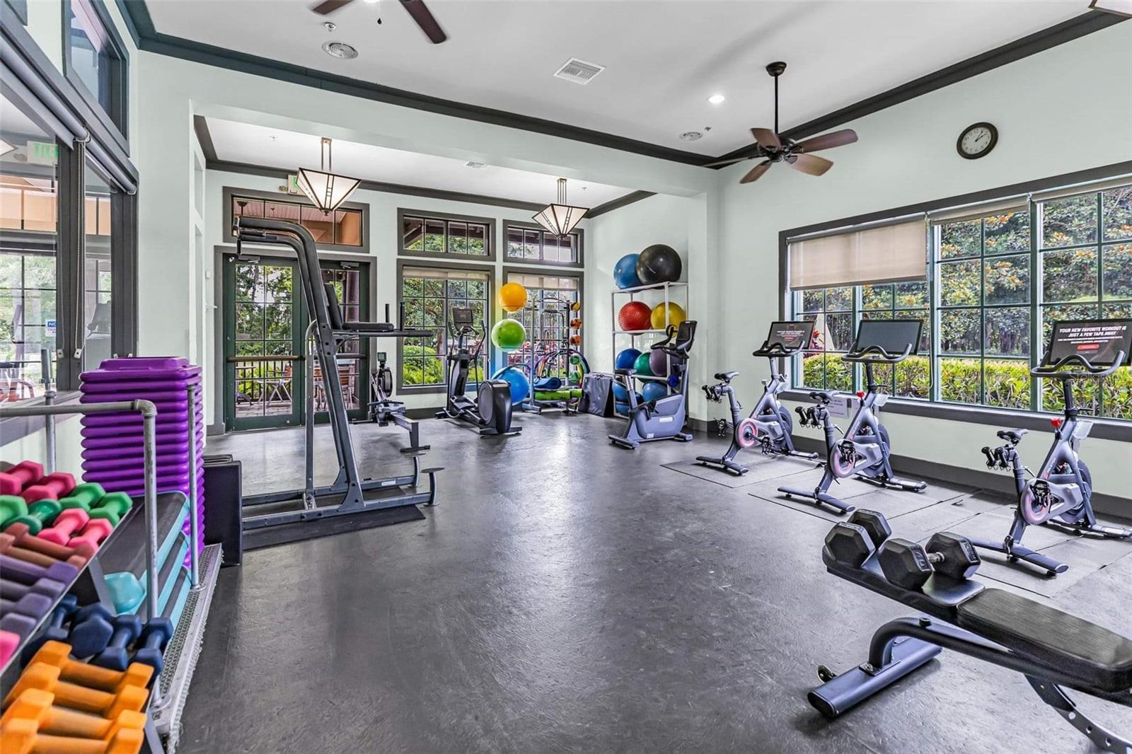 7901 CITRUS BLOSSOM DRIVE, Land O Lakes, FL 34637