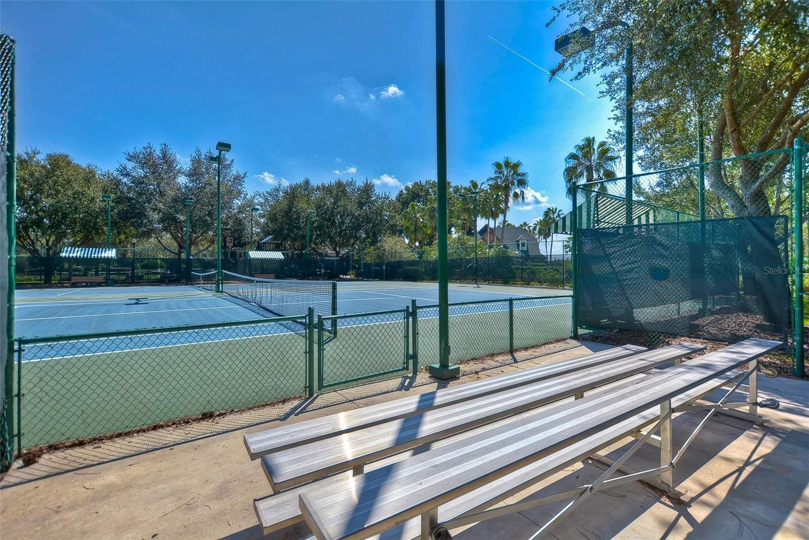 7901 CITRUS BLOSSOM DRIVE, Land O Lakes, FL 34637
