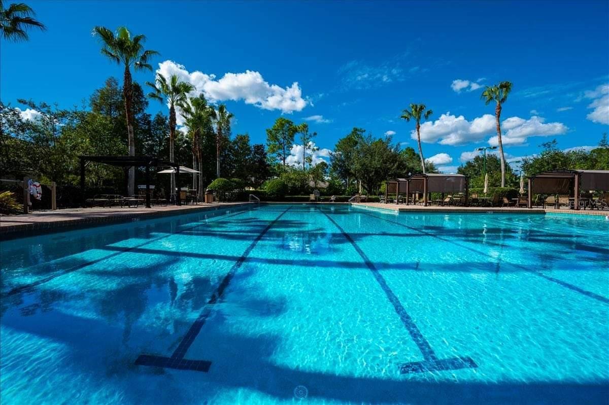 7901 CITRUS BLOSSOM DRIVE, Land O Lakes, FL 34637