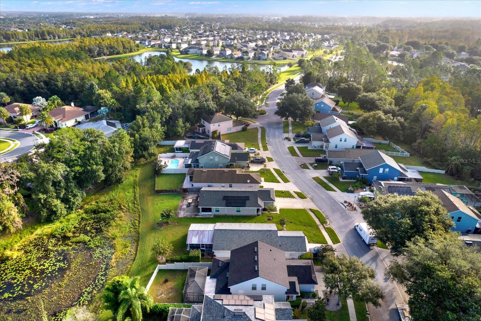 7901 CITRUS BLOSSOM DRIVE, Land O Lakes, FL 34637