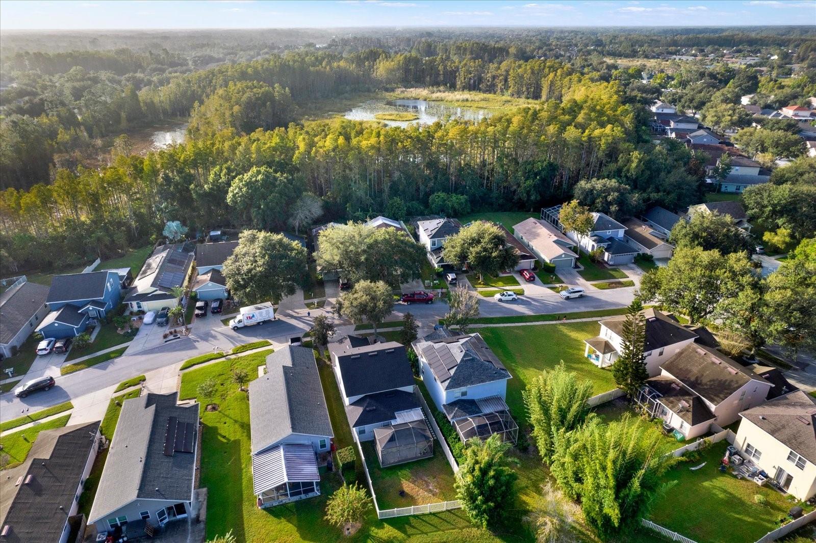 7901 CITRUS BLOSSOM DRIVE, Land O Lakes, FL 34637