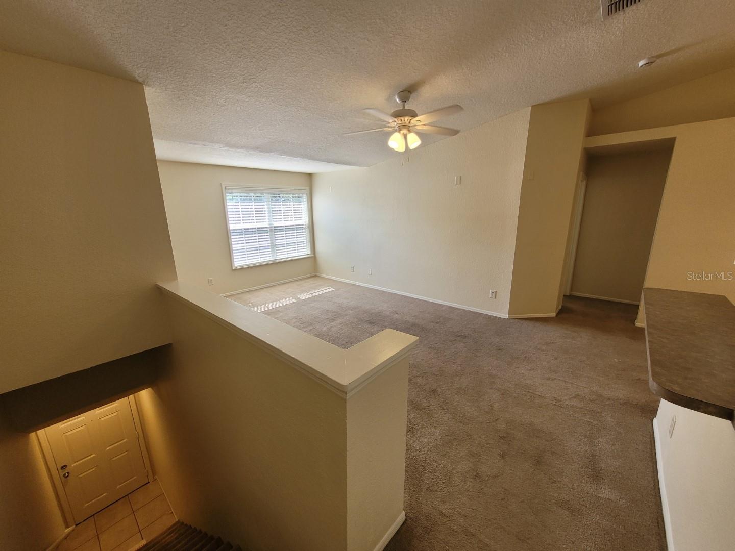 5901 BRICKLEBERRY LANE, #203, Zephyrhills, FL 33541